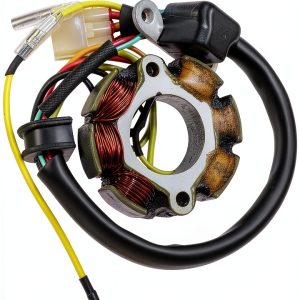 Ignition Stator ElectroSport ESG122 High Output-0