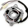 ATV-PARTS Magneto Ignition Stator for Yamaha PW50 12V Replacement-5