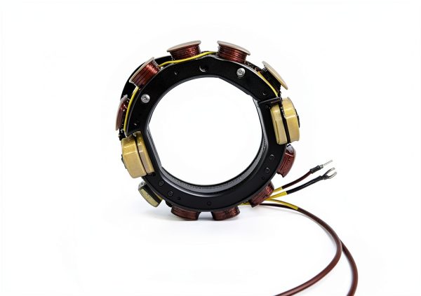 JETUNIT Ignition Stator for Johnson OMC JE-X01JO0015 OEM Fit-2