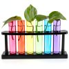 Juvale Test Tube Shot Glasses Plastic 4 Pack Multicolor 1.5 oz Tubes-8